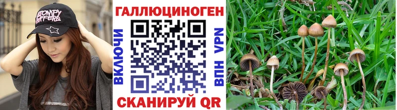Галлюциногенные грибы мицелий  как найти закладки  Волгореченск 